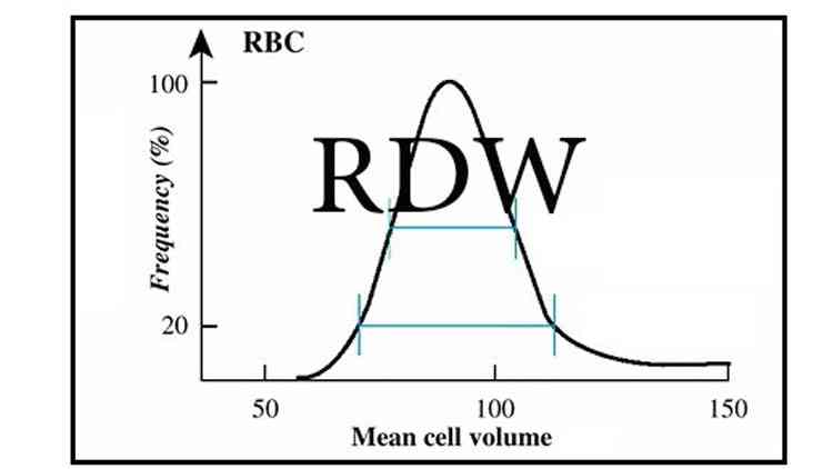 Rdw. RDW normal. RDW лого. RDW (Red Cell distribution width) характеризует.