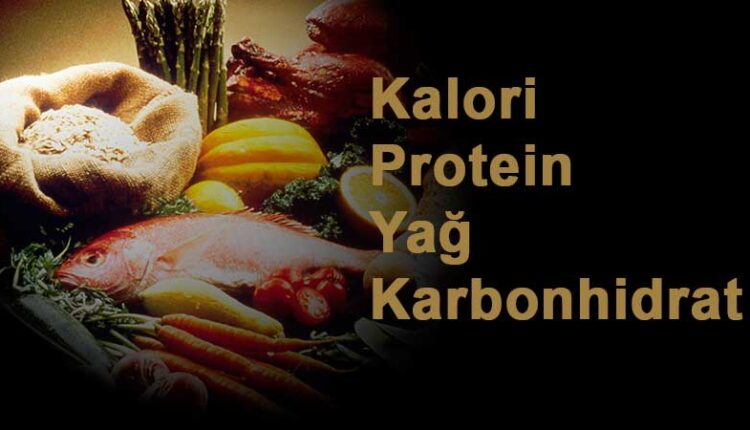 Besinlerin protein karbonhidrat yağ kalori değerleri