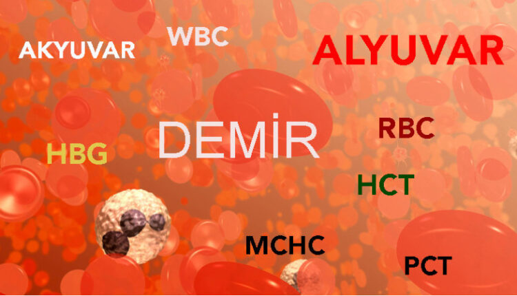 Demir eksikliği neden olur Demir eksikliği anemisi Demir eksikliği tedavisi