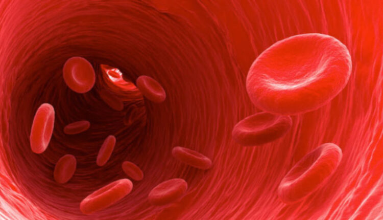 HCT düşüklüğü, HCT yüksekliği, Hematokrit nedir, Hematokrit test sonucu