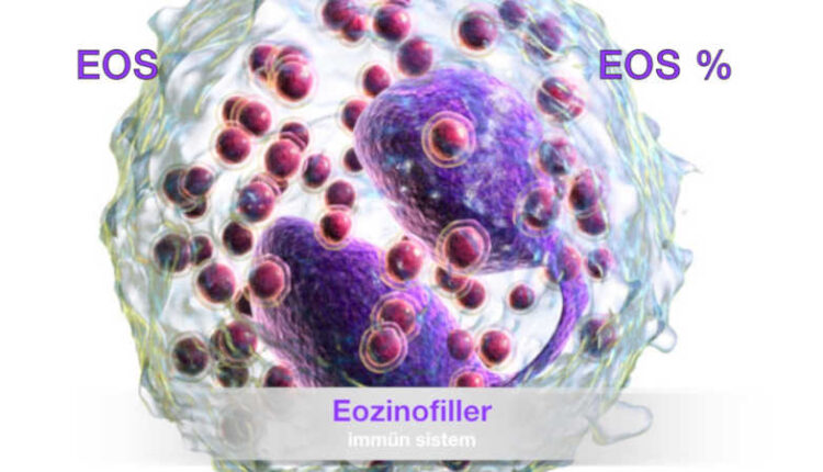 Eos nedir | Eos neden yükselir ve düşer | Eozinofil nasıl hesaplanır | EO.