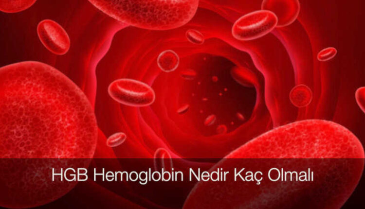 HGB nedir | Kandaki hemoglobin düşüklüğü ne demek | HGB testi nedir