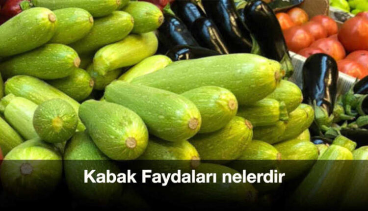 Kabak faydaları | Kabak faydaları diyetisyen | Kabağın zararları nelerdir.