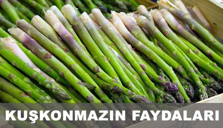 Kuşkonmaz faydaları, Kuşkonmaz yemeği, Kuşkonmaz nasıl yenir.