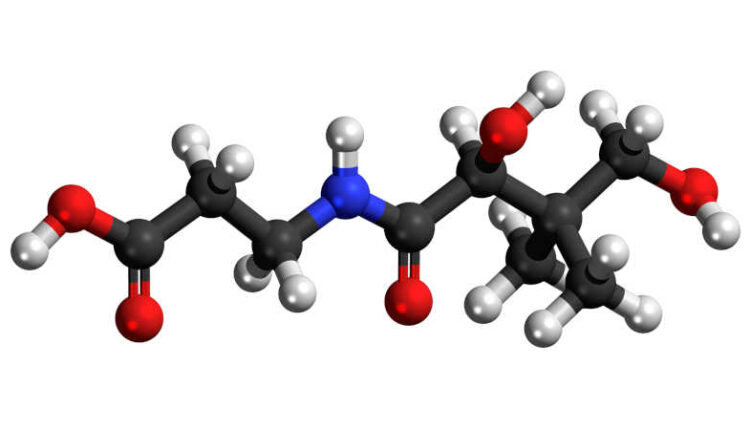 Vitamin B12 nedir, B12 vitamini ne işe yarar, B12 eksikliği nasıl tespit edilir.