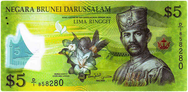 Brunei Para Birimi : Brunei dollar