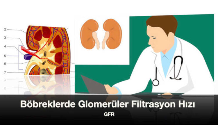 GFR nedir kan tahlili | Glomerüler filtrasyon hızı hesaplama | eGFR testi