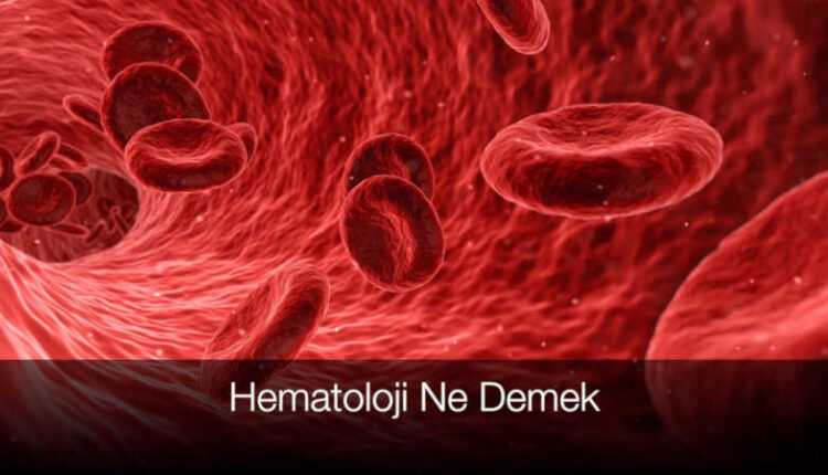 Hematoloji ne demek | Hematoloji nedir hangi hastalıklara bakar | Lösemi.