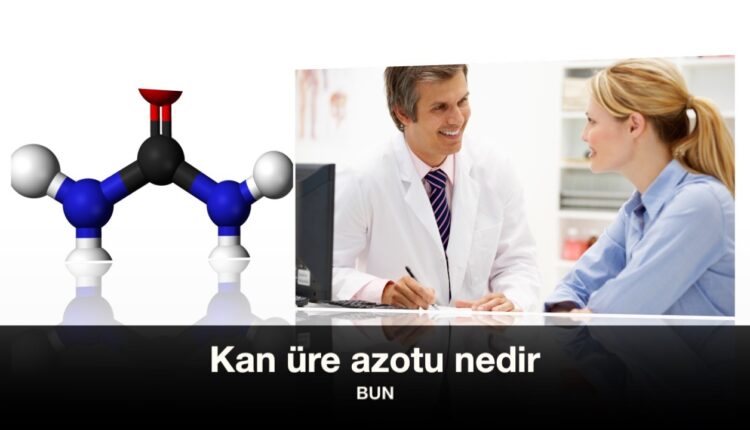 Kanda üre azotu nedir | Kanda üre düşüklüğü nedir | Bun düşüklüğü nedir.