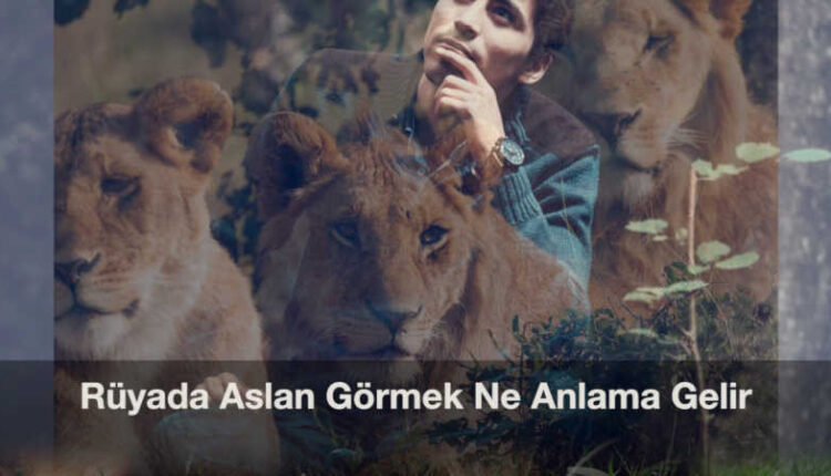 Rüyada aslan görmek | Rüyada aslan görmek imam nablusi | Rüya tabirleri