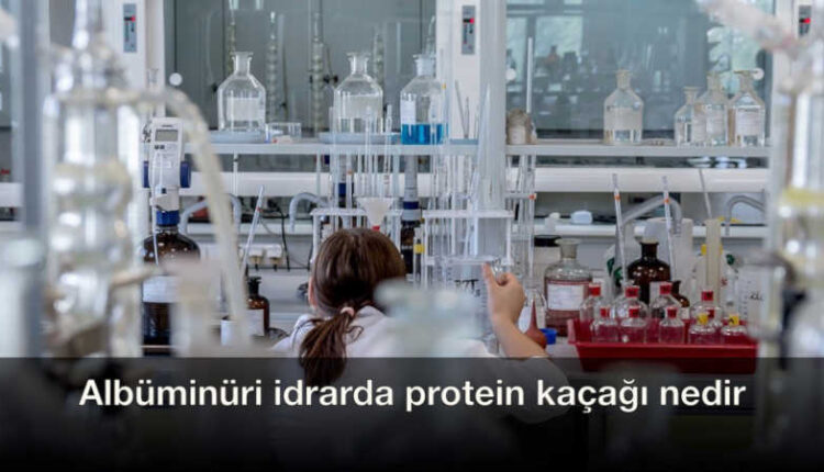 Albüminüri nedir neden olur | idrarda proteinüri nedir | albümin hastalığı.