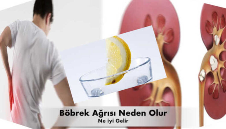 Böbrek ağrısı nedenleri. Böbrek ağrısı nasıl geçer. Böbrek iltihabı belirtileri