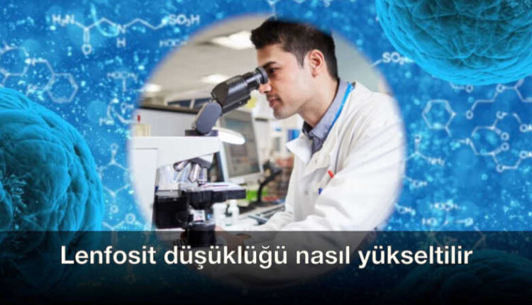 Lym nedir kaç olmalı | Hamilelikte lenfosit düşüklüğü | Lym nedir tıp