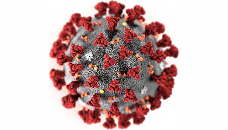 Coronavirus (Korona virüsü) Nedir? Belirtileri Nelerdir Nasıl Bulaşır?