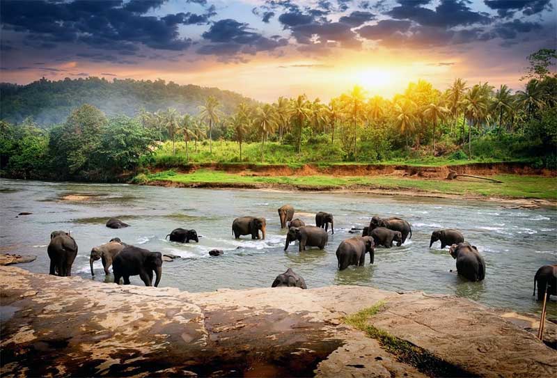 Dünyanın En Güzel Adaları Sri Lanka