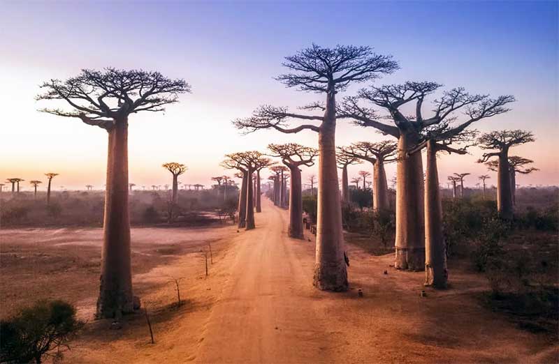 Madagaskar, Afrika
