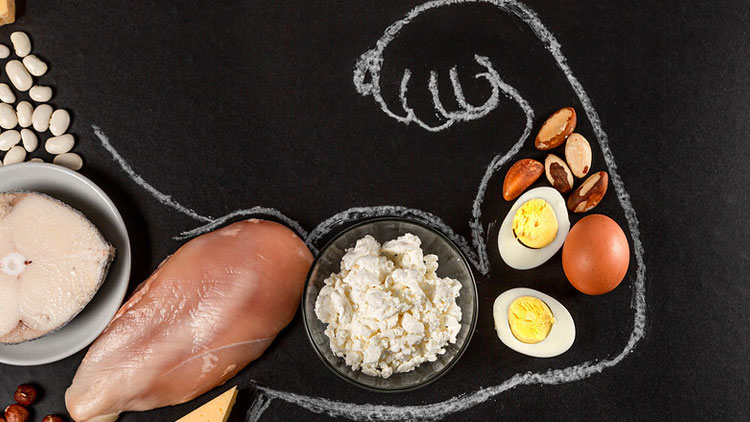 1 Gr Protein Kaç Kalori Protein Ağırlıklı Beslenme Zayıflatır mı ...